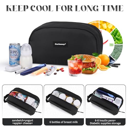 Small Cooler Bag