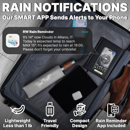 Compact Travel Umbrella for Rain