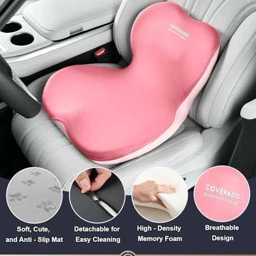 Car Seat Cushion and Lumbar Support Pillow One Piece