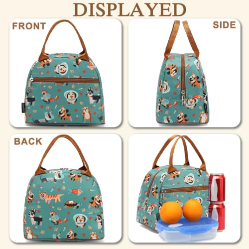 Insulated Lunch Cooler Bag