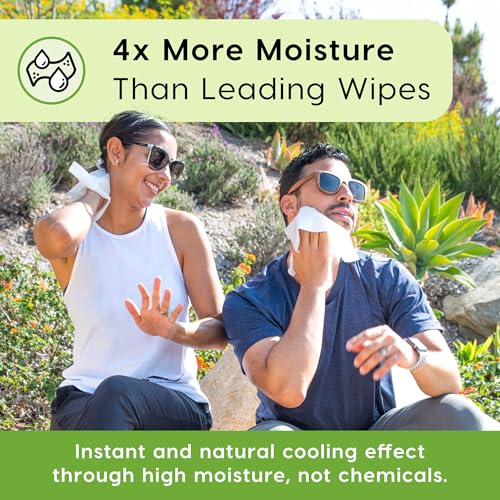 Deodorizing Body Wipes Individual Shower Wipes (600 Count)