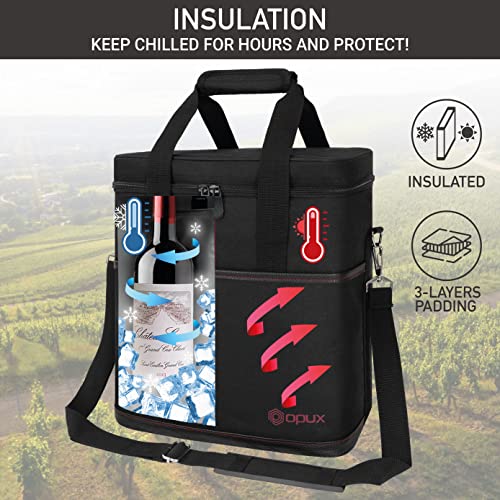 Insulated Wine Cooler Bag