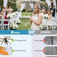 Windproof Travel Umbrellas for Rain and Sun (2 Count)