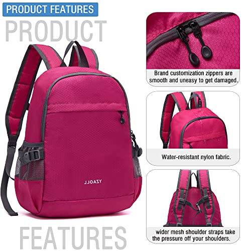 Hiking Backpack 20L Packable Packable Lightweight Day Pack for Women & Men