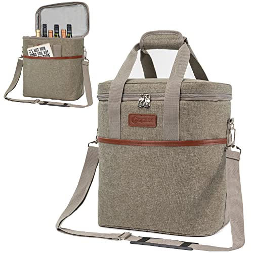 Insulated Wine Cooler Bag