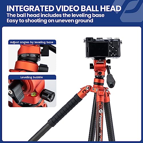 62" Video Camera Tripod with Fluid Head for Smooth Panning