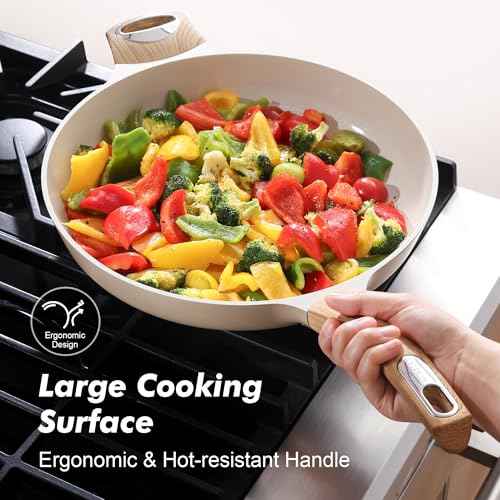 12.5inch Ceramic Nonstick Frying Pan Paella Pan with Lid