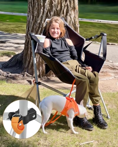 2 Pack Hammock Camping Chair (2 Count)