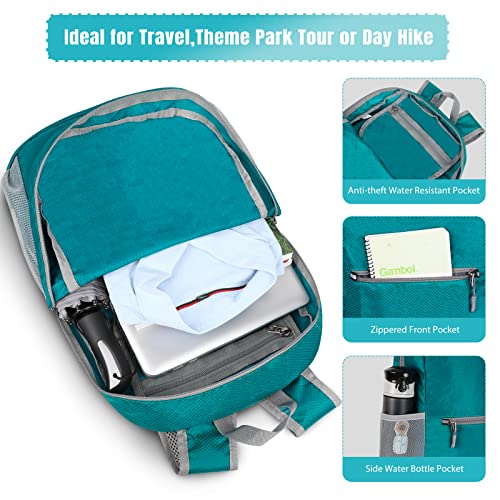 Lightweight Packable Backpack