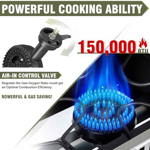 2 Burner Outdoor Propane Gas Stove with Auto Ignition & Regulator