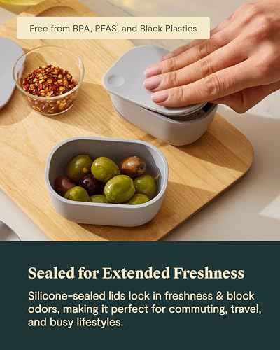 2 Piece Mini Dash Inserts with Lids (2 Count)