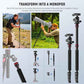 Basics Camera Tripod Monopod