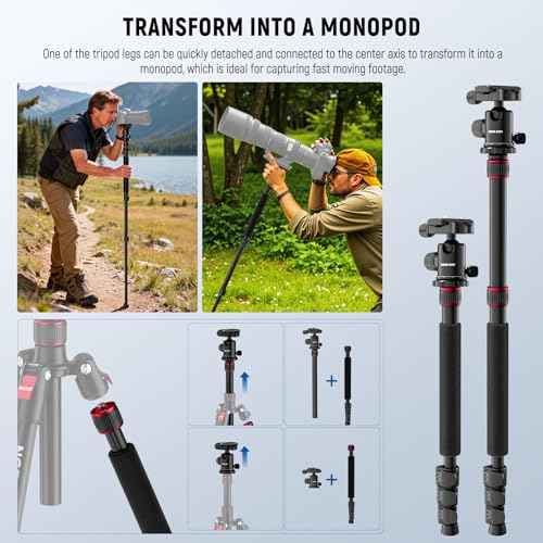 Basics Camera Tripod Monopod