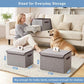 Large 42 Quarts Fabric Storage Bins with Lids [2 (2 Count)