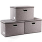 Large Collapsible Storage Bins with Lids [3 (3 Count)