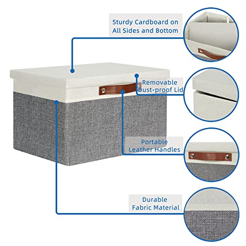 Collapsible Storage Bins Storage Boxes with lid (2 Count)