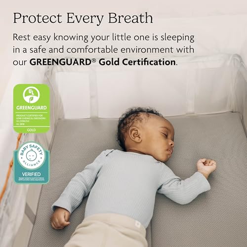 Remi 3-in-1 Portable Playard, Bassinet & Travel Crib - Jake
