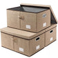 Storage Bins with Lids [3 (3 Count)