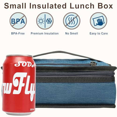 Small Insulated Lunch box Portable Soft Bag Mini Cooler Thermal Meal Tote Kit with Handle for Work & School