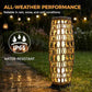 2 Piece Outdoor Floor Lamp Solar Lantern (2 Count)