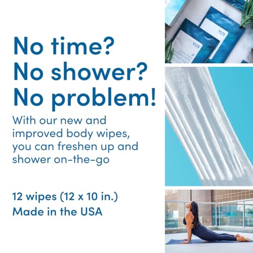 Large Body Wipes (12 Count)