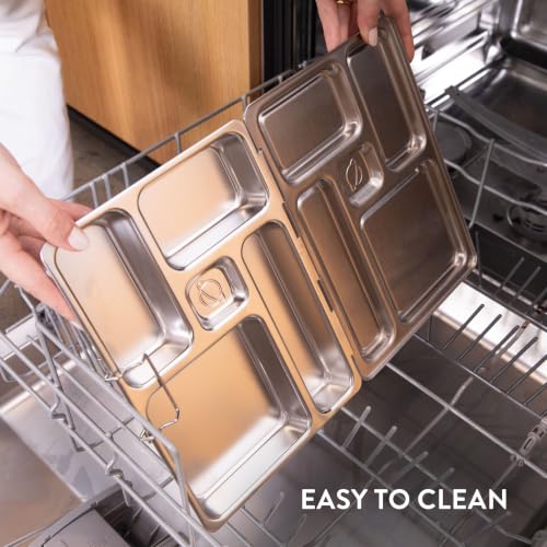 Rover Stainless Steel Bento Box Style Lunch Box for Kids with 5 Compartments