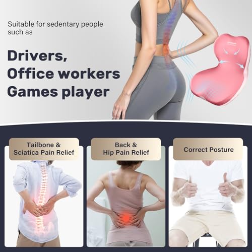 Car Seat Cushion and Lumbar Support Pillow One Piece