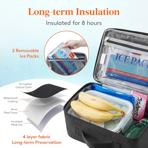 Freezable Lunch Box