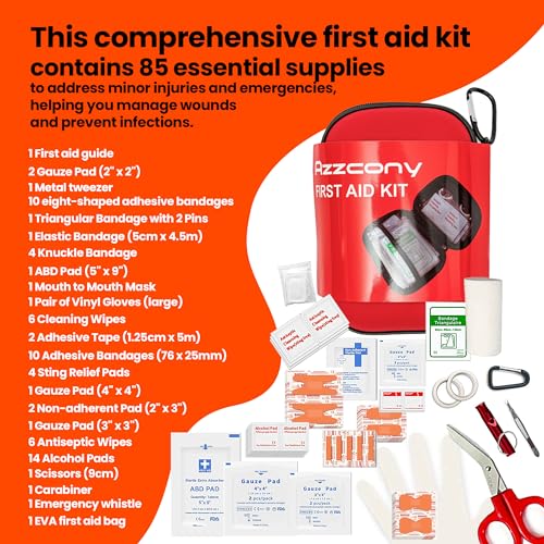 Emergency Survival Kit with First Aid Gears and Supplies (250 Count)