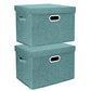 Collapsible Storage Bins With Lids (2 Count)
