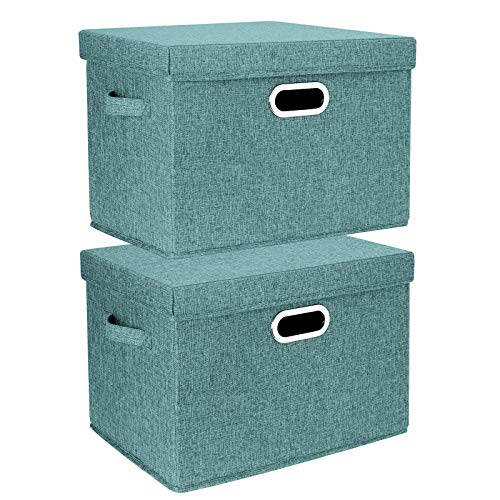 Collapsible Storage Bins With Lids (2 Count)