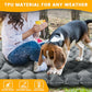 Double Sleeping Pad for Camping