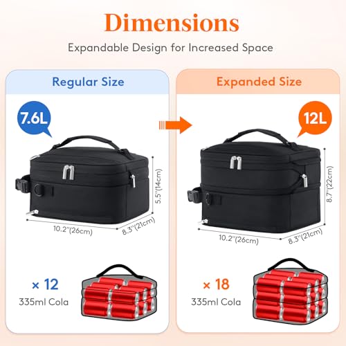 Insulated Lunch Box for Men