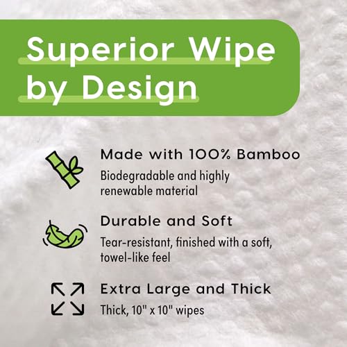 Deodorizing Body Wipes Individual Shower Wipes (30 Count)