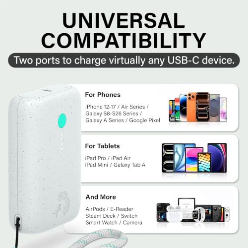 Champ Portable Charger