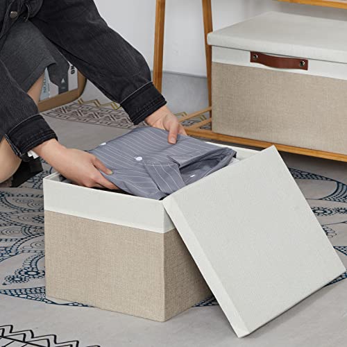 Foldable Storage Bins with Lids (2 Count)