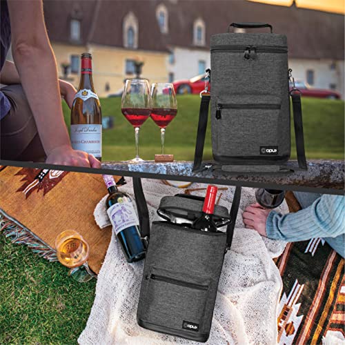 Insulated 2 Bottle Wine Bag Tote Leakproof Carrier Cooler Gift