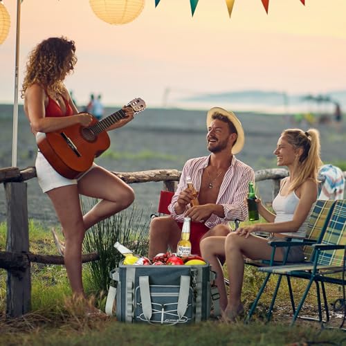 30Can Collapsible Soft Cooler Bag
