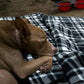 Large Waterproof Outdoor Blanket Thick Fleece 80" x 58"