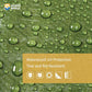 Tarp Green 9x15 Feet Multi Purpose Waterproof Poly Tarp Cover 5mil (270 Sq Ft)