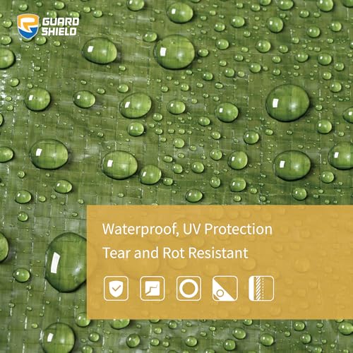 Tarp Green 9x15 Feet Multi Purpose Waterproof Poly Tarp Cover 5mil (270 Sq Ft)