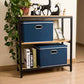 Extra Large Collapsible Storage Bins with Lids [5 (5 Count)