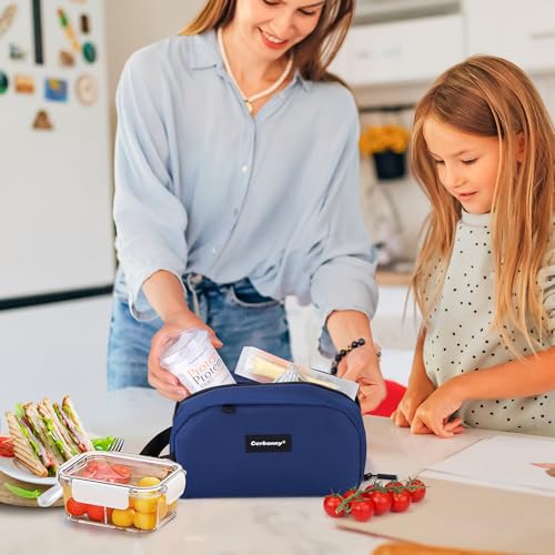 Small Cooler Bag