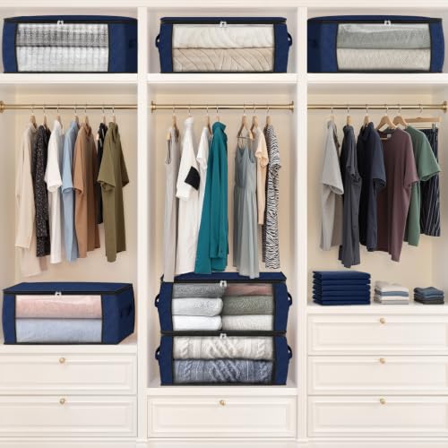 35L Closet Organizers (4 Count)