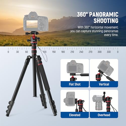 Basics Camera Tripod Monopod