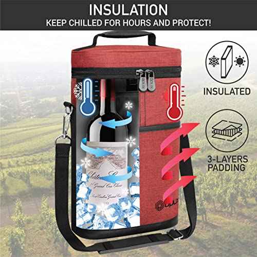 2 Bottle Wine Carrier Tote