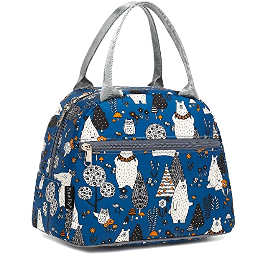 Insulated Lunch Cooler Bag