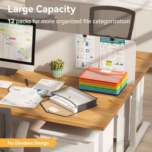 12 Pack Plastic Expanding File Folder (12 Count)