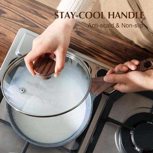 Nonstick Sauce Pan Set with Lid (2 Count)