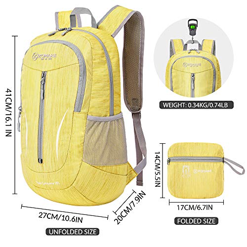 25L Ultra Lightweight Packable Backpack